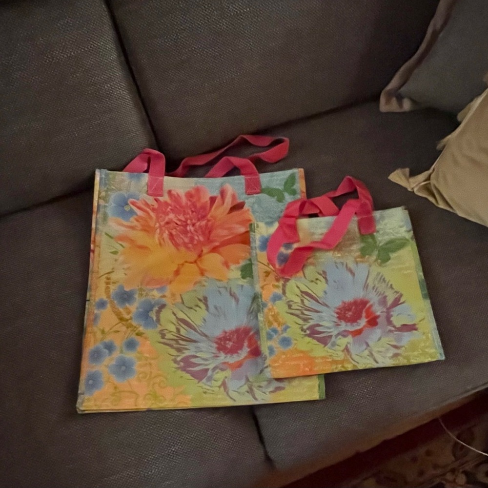 Pier 1 Imports set of two reuseable shopping bag set.